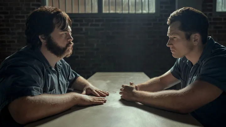 Чёрная птица